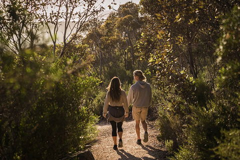 One Day Port Lincoln Tour - Tasting Eyre - Accommodation Port Hedland 5