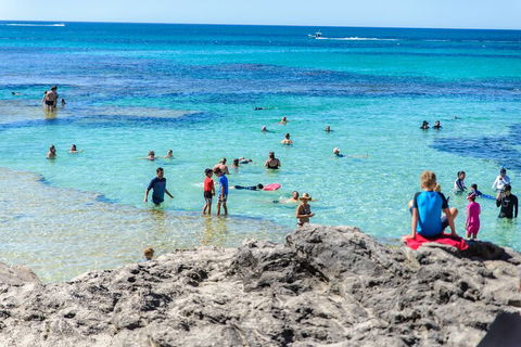 Rottnest Island Roundtrip Fast Ferry From Hillarys Boat Harbour - Accommodation Port Hedland 1