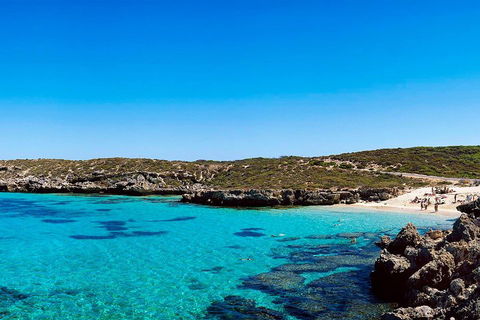 Rottnest Island Roundtrip Fast Ferry From Hillarys Boat Harbour - Accommodation Port Hedland 4