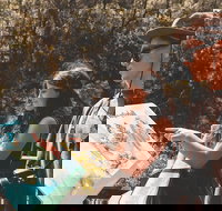 Springbrook andTamborine Rainforest Tour Incl Natural Bridge and Glow Worm Cave - Accommodation Port Hedland