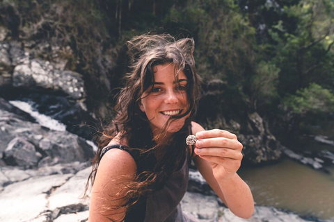 Springbrook AndTamborine Rainforest Tour Incl Natural Bridge And Glow Worm Cave - Accommodation Port Hedland 1