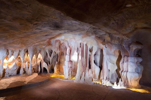 Springbrook AndTamborine Rainforest Tour Incl Natural Bridge And Glow Worm Cave - Accommodation Port Hedland 4