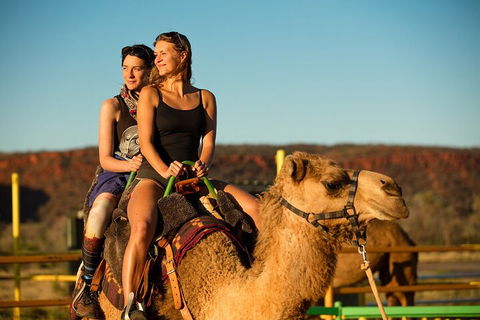 4 Day/3 Night Perentie Dreaming Safari - Accommodation Port Hedland 4