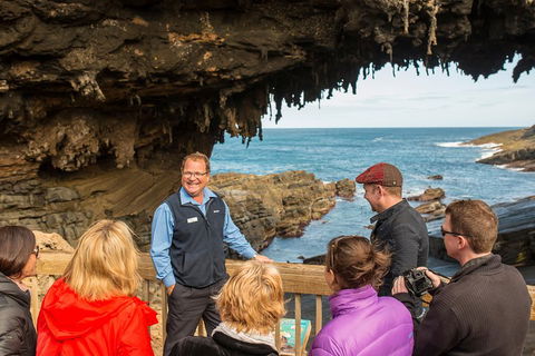 Kangaroo Island In A Day Tour From Adelaide - Accommodation Port Hedland 3