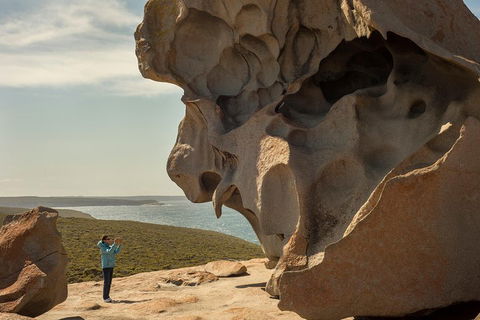 Kangaroo Island In A Day Tour From Adelaide - Accommodation Port Hedland 5