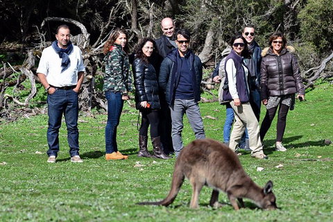 2-Day Kangaroo Island 4WD Small-Group Tour From Adelaide - Accommodation Port Hedland 1