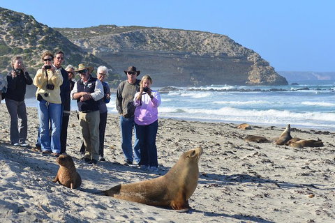 2-Day Kangaroo Island 4WD Small-Group Tour From Adelaide - Accommodation Port Hedland 3