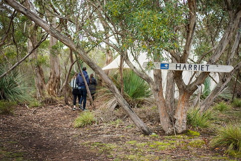 2-Day Kangaroo Island 4WD Small-Group Tour From Adelaide - Accommodation Port Hedland 5