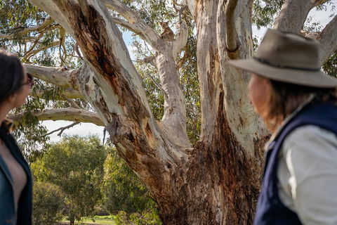 NEW TOUR - Kangaroo Island Road To Recovery Tour (1 Day/1 Night) - Accommodation Port Hedland 0