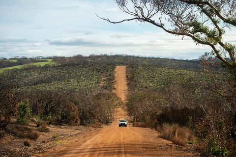NEW TOUR - Kangaroo Island Road To Recovery Tour (1 Day/1 Night) - Accommodation Port Hedland 2