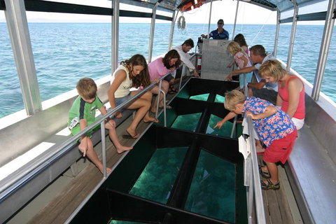 Cairns City Sights And Surrounds Tour - Accommodation Port Hedland 5