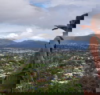 Cairns Aquarium and small group City Sightseeing Tour - Accommodation Port Hedland