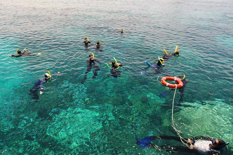 Seastar Luxury Outer Great Barrier Reef Island And Reef Tour From Cairns - Accommodation Port Hedland 2
