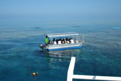 Seastar Luxury Outer Great Barrier Reef Island And Reef Tour From Cairns - Accommodation Port Hedland 5