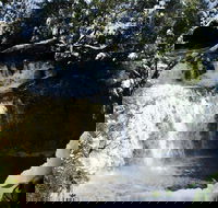 Cradle Mountain Day Tour from Launceston Including Lunch - Accommodation Port Hedland