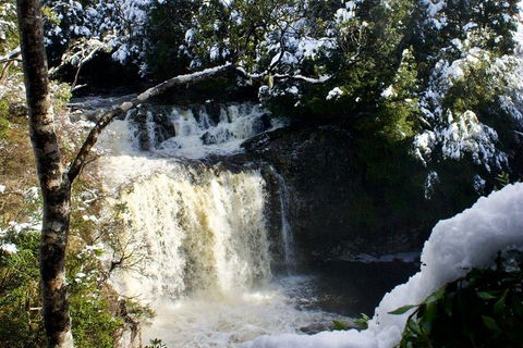 Cradle Mountain Day Tour From Launceston Including Lunch - Accommodation Port Hedland 0
