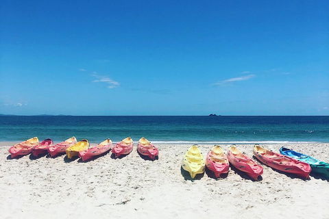 Kayaking With Dolphins In Byron Bay Guided Tour - Accommodation Port Hedland 1
