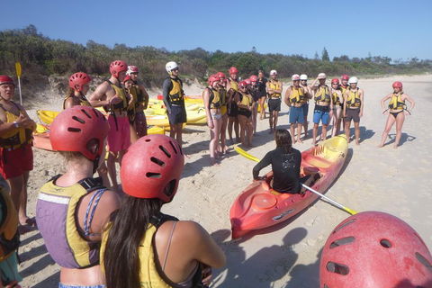 Kayaking With Dolphins In Byron Bay Guided Tour - Accommodation Port Hedland 2