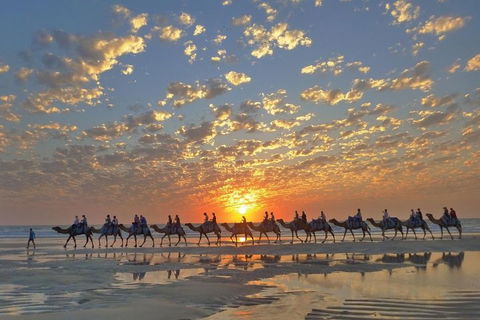 Broome City Sightseeing Tour With Optional Camel Ride - Accommodation Port Hedland 1