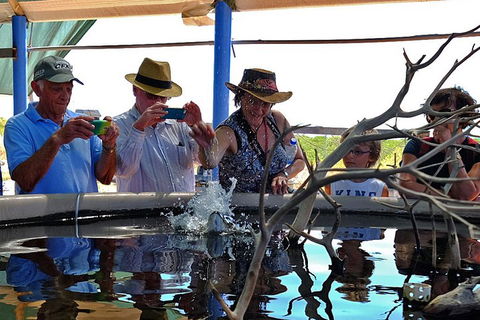 Cape Leveque 4WD Tour From Broome With Optional Return Flight - Accommodation Port Hedland 0