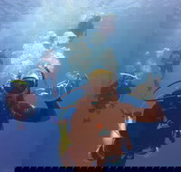 12-Day Great Barrier Reef Marine Conservation Program from Cairns - Accommodation Port Hedland