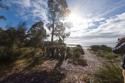 Bruny Island Day Tour, Includes Lunch And Exclusive Lighthouse Tour - Accommodation Port Hedland 5
