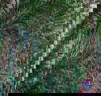 Atherton Tablelands Rain Forest by Night from Cairns - Accommodation Port Hedland