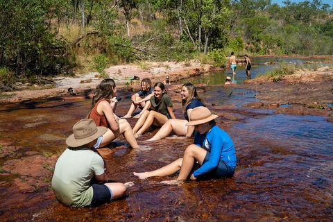 Litchfield National Park Waterfalls And Wildlife Tour From Darwin - Accommodation Port Hedland 1