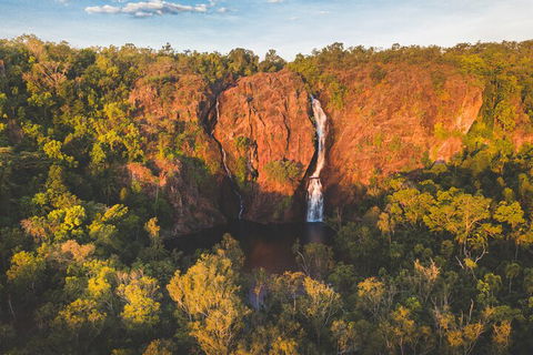 Litchfield National Park Waterfalls And Wildlife Tour From Darwin - Accommodation Port Hedland 2