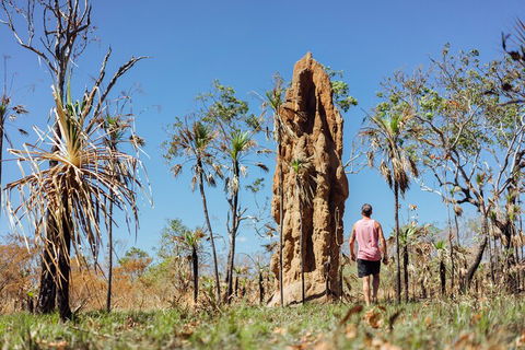 Litchfield National Park Waterfalls And Wildlife Tour From Darwin - Accommodation Port Hedland 4