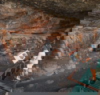 Kakadu National Park Wildlife and Ubirr Rock Art Tour from Darwin City - Accommodation Port Hedland