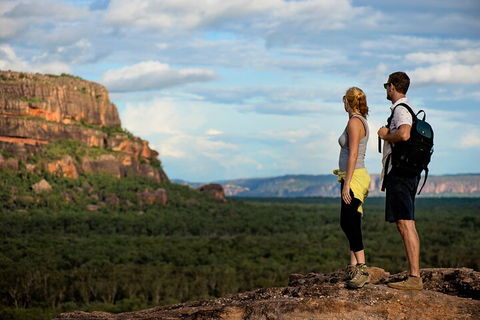Kakadu National Park Wildlife And Ubirr Rock Art Tour From Darwin City - Accommodation Port Hedland 3