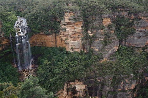 Blue Mountains Private Tour With Kangaroos & Koala Encounter - Accommodation Port Hedland 2