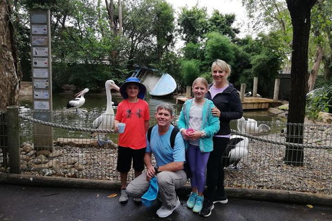 Blue Mountains Private Tour With Kangaroos & Koala Encounter - Accommodation Port Hedland 4