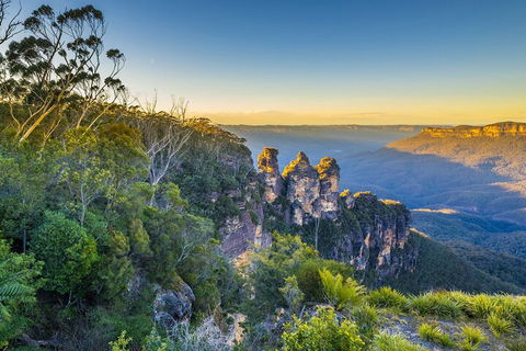 Blue Mountains Private Tour With Kangaroos & Koala Encounter - Accommodation Port Hedland 5