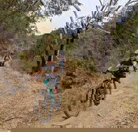 Mount Lofty Descent Bike Tour from Adelaide - Accommodation Port Hedland