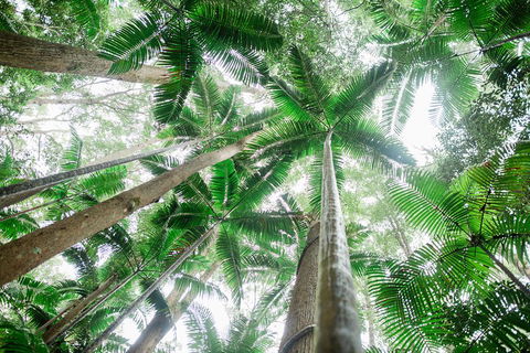 Fraser Explorer K'gari 2-Day Tour - Accommodation Port Hedland 2