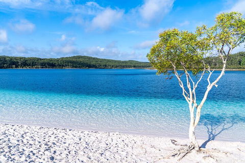 Lake McKenzie Full-Day Tour With Lunch From Hervey Bay - Accommodation Port Hedland 1