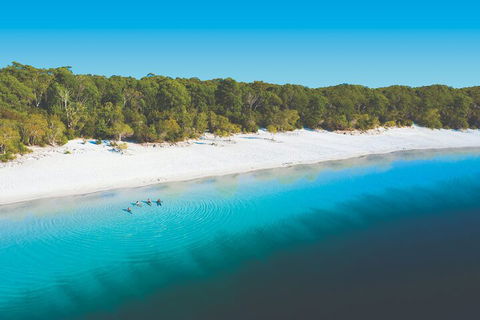 Lake McKenzie Full-Day Tour With Lunch From Hervey Bay - Accommodation Port Hedland 4