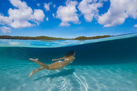 Lake McKenzie Full-Day Tour With Lunch From Hervey Bay - Accommodation Port Hedland 5