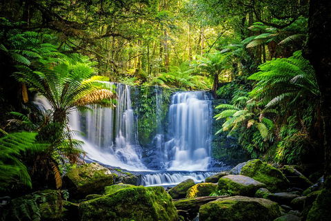 Day Tour In Mt. Field, Mt. Wellington, Bonorong Wildlife Sanctuary And Richmond - Accommodation Port Hedland 0