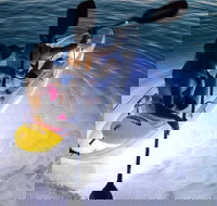 2-Day Moreton Island Tour from Brisbane or Gold Coast with Optional Nighttime Kayaking - Accommodation Port Hedland