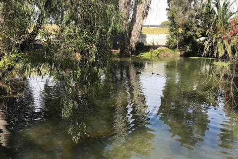 Perth East Foreshore And City Segway Tour - Accommodation Port Hedland 1