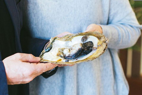 Half-Day Willie Creek Pearl Farm Tour With Helicopter Flight - Accommodation Port Hedland 3