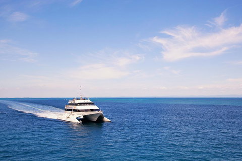 Tangalooma Island Resort Whale Watching Day Cruise - Accommodation Port Hedland 5