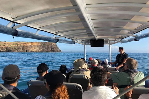 Julian Rocks Byron Bay Cruise - Accommodation Port Hedland 4