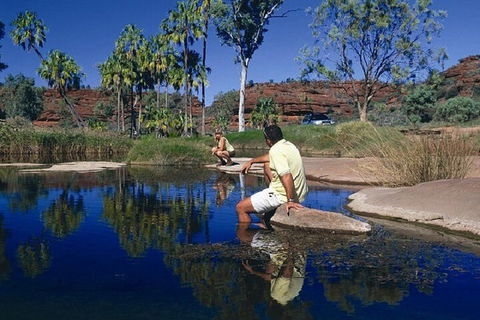 Palm Valley 4WD Day Tour - Accommodation Port Hedland 1