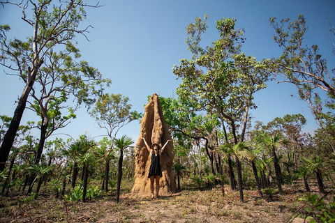 Litchfield National Park - Top End Day Tour From Darwin - Accommodation Port Hedland 5