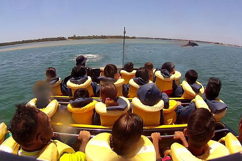 Jet Boat Express Ride - 30mins - Accommodation Port Hedland 5