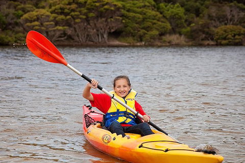 Kangaroo Island Self-Guided Kayaking On The Harriet River - Accommodation Port Hedland 1